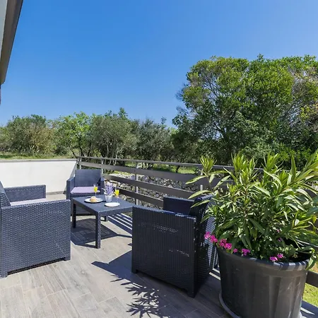 Selagodi By Interhome